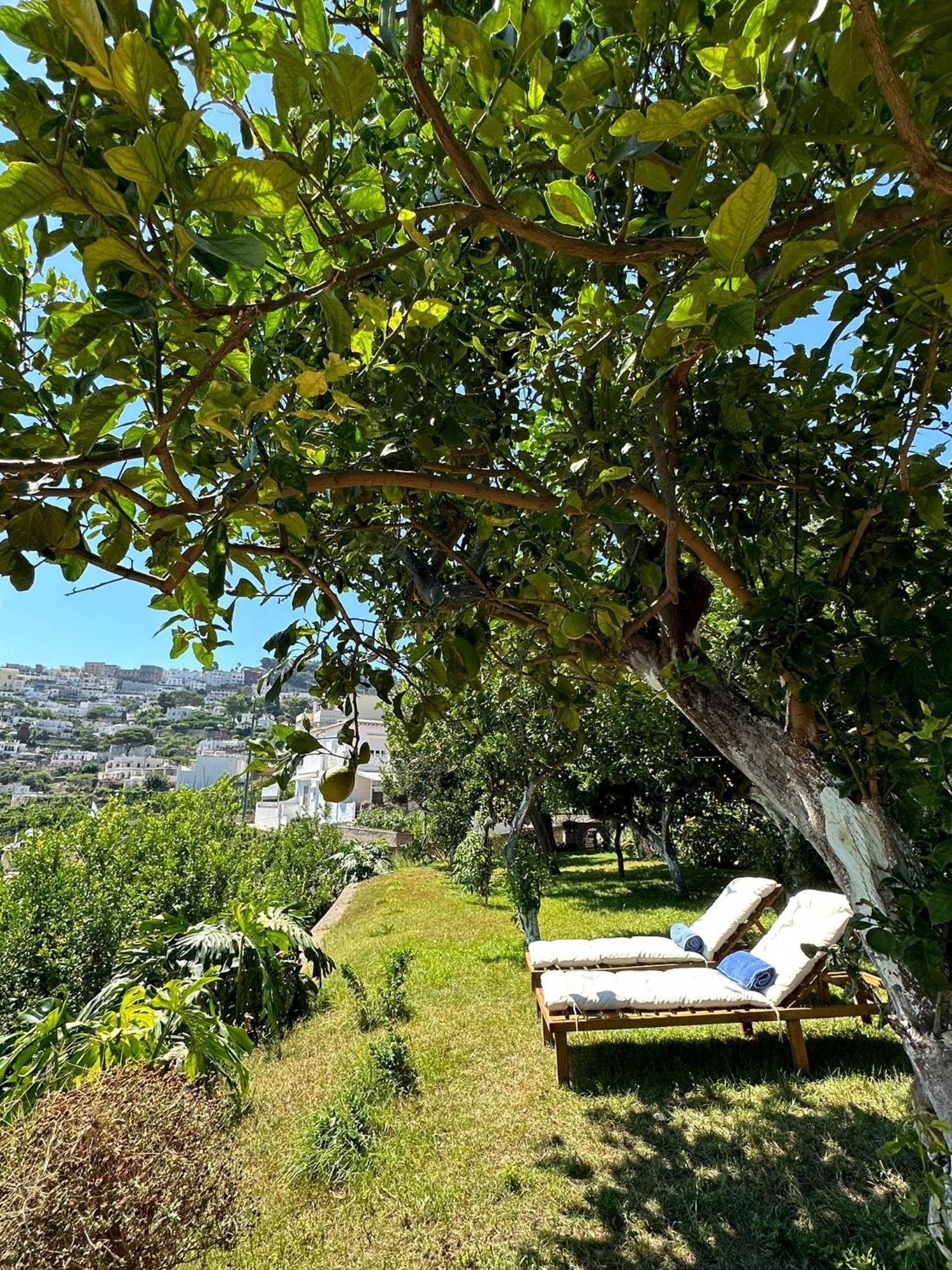 Ferienhaus Depandance Casa Paolina