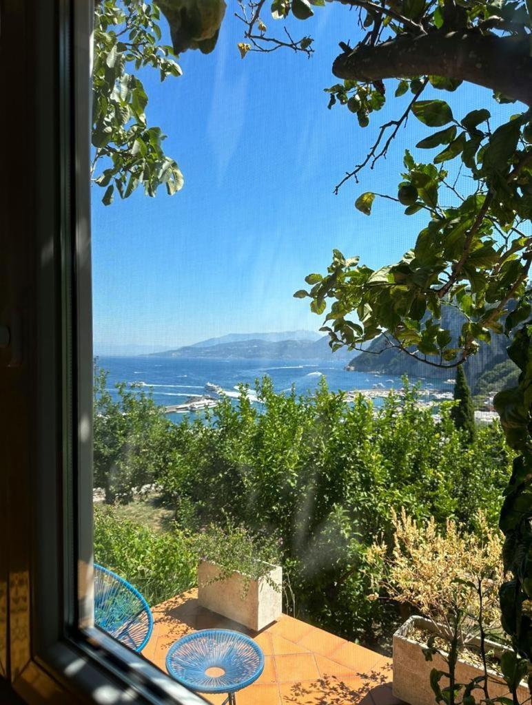 Depandance Casa Paolina Ferienhaus Capri
