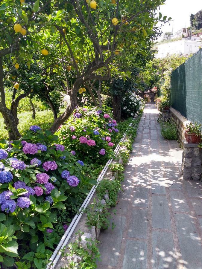 Ferienhaus Depandance Casa Paolina Capri